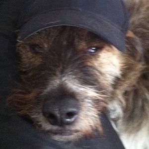 Meet your Posher, Alan